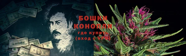 прущая мука Богородск