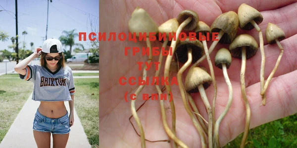 дистиллят марихуана Бородино